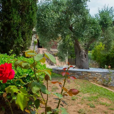 Villa Anna